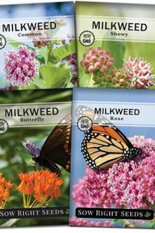 Συλλογή σπόρων Milkweed