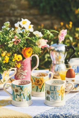 συλλογή emma bridgewater πηγή