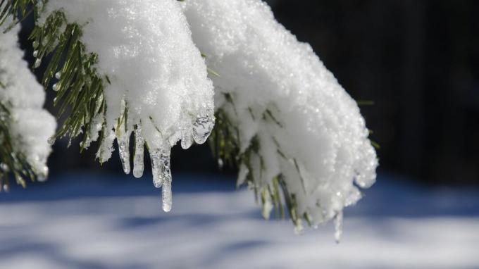 Προεπισκόπηση για το «The Old Farmer’s Almanac» Χειμερινή πρόβλεψη 2019 λέει ότι θα είναι ζεστό και υγρό