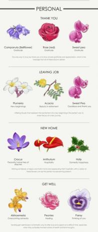 Flower infographic