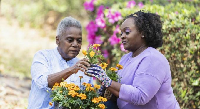 μια ηλικιωμένη αφροαμερικανίδα και η ενήλικη κόρη της που κάνουν κηπουρική μαζί στην πίσω αυλή, η μητέρα κρατά έναν δίσκο με πορτοκαλί λουλούδια στην αγκαλιά της και δίνει ένα από τα λουλούδια στην κόρη της
