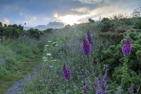 Pentire Head, Κορνουάλη © Εθνική Εμπιστοσύνη Εικόνες John Miller