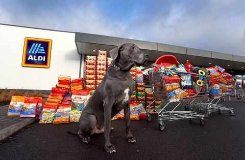 Aldi - Pet Event σειρά - φαγητό