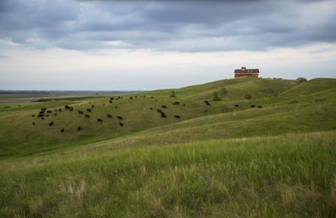 couteau des prairies καταθέτουν βόρεια Ντακότα