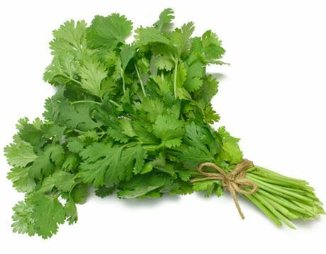 Ένα λιγότερο γνωστό Cilantro