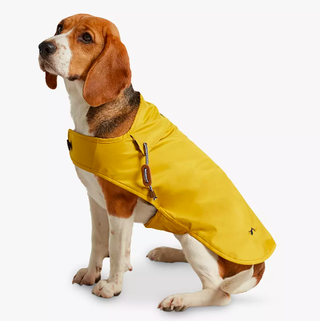 Αδιάβροχο Joules Mustard Dog