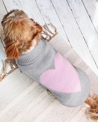 Love Heart Wool Dog πουλόβερ