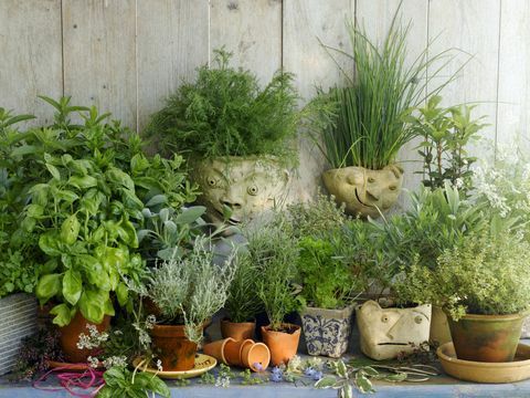 5 τσιμπήματα κήπου που θα βελτιώσουν την ψυχική σας υγεία και ευημερία