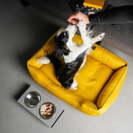 ΚΙΤΡΙΝΟ κρεβάτι σκύλου με αφαιρούμενο κάλυμμα φωτεινή φωλιά σκύλου MUSTARD XS - Χαλάκι μεγέθους Xxl για σκύλο, Δώρο για ιδιοκτήτες σκύλων
