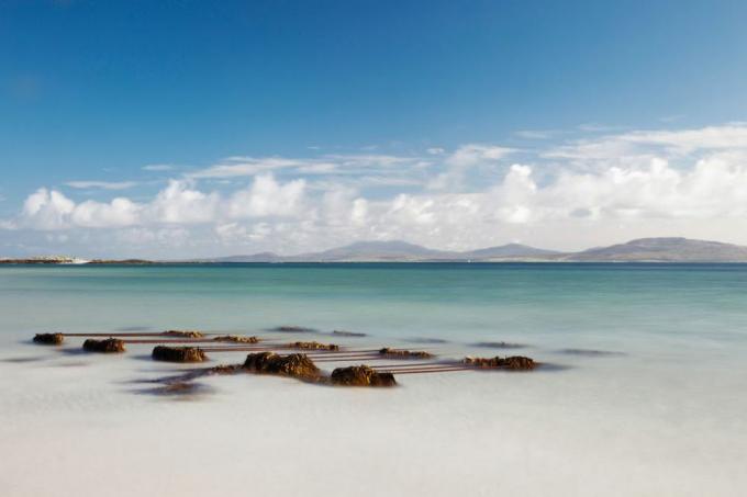 Φύκια On The Shore Στην παραλία Eilogarry? Isle Of Barra, Σκωτία