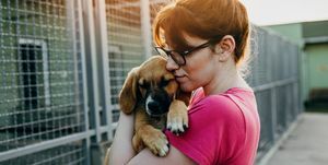 νεαρή γυναίκα που υιοθετεί σκύλο από ένα καταφύγιο