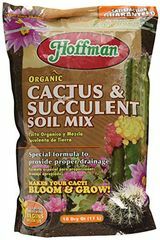 Cactus Mix Soil