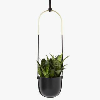 Umbra Bolo Hanging Planter, Μαύρο / Ορείχαλκο