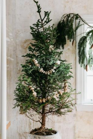 ένα απλό χριστουγεννιάτικο δέντρο με μια γιρλάντα από στρογγυλούς ξύλου