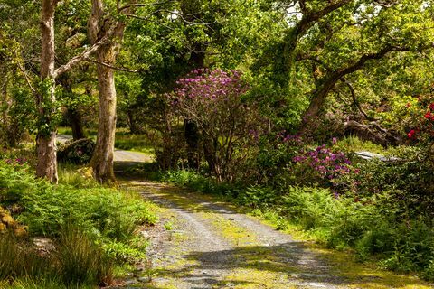 προς πώληση κάστρο glengarriff στην Ιρλανδία