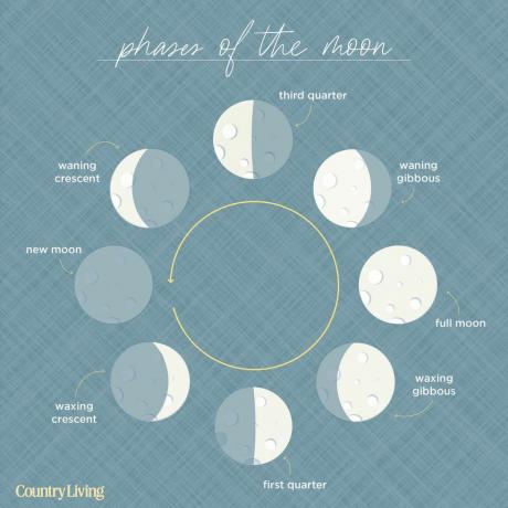 διάγραμμα με οκτώ φάσεις σελήνης, ξεκινώντας από τη νέα σελήνη, διατεταγμένα σε κύκλο με βέλος που δείχνει αριστερόστροφη κίνηση