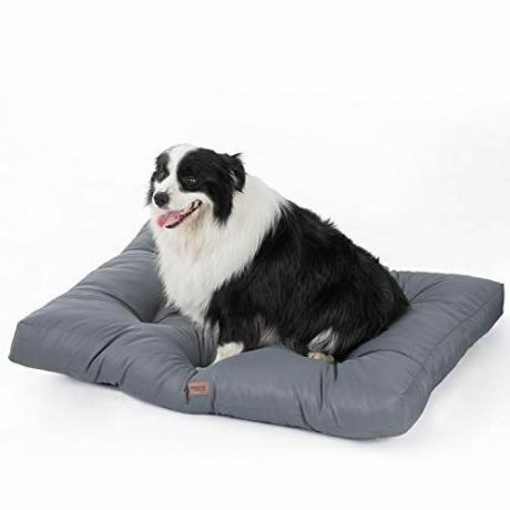 Αδιάβροχο κρεβάτι σκύλου Amazon 