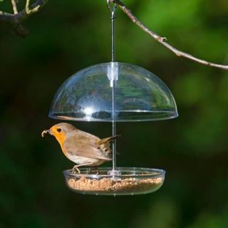 Λατρεύω τον τροφοδότη Robins