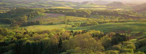 Dorset επαρχία