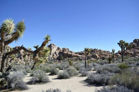 Pioneertown, Καλιφόρνια