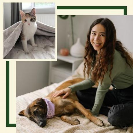 iams, delphine chui, nola, dillon, dog, cat