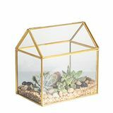 Terrarium Tabletop House