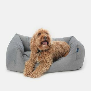 Eco Domino Pet Bed