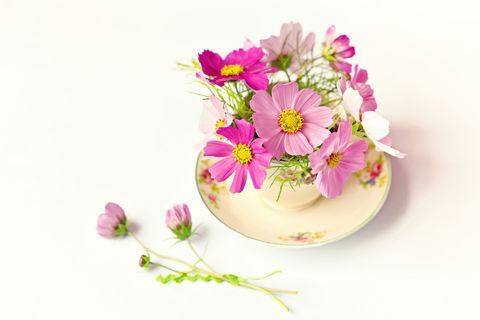 Πολύ ροζ λουλούδια σε ένα φλυτζάνι