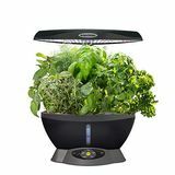 Αξεσουάρ AeroGarden και βότανο