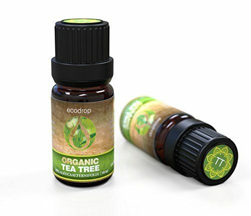 Αιθέριο Έλαιο Tea Tree