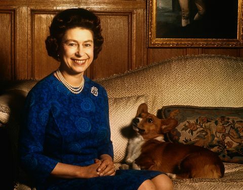 Ο σκύλος του Meghan Markle ταξιδεύει με τη βασίλισσα Ελισάβετ στο Windsor