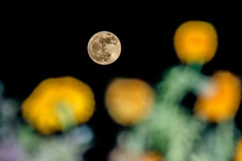 Supermoon Ινδία