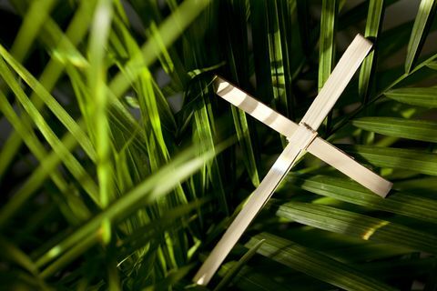 Palm Cross και τα φύλλα