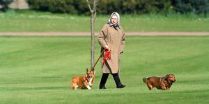 Windsor, Ηνωμένο Βασίλειο, 2 Απριλίου, βασίλισσα Ελισάβετ II που περπατά τα σκυλιά της στο κάστρο του Windsor, στις 2 Απριλίου 1994 στο Windsor, φωτογραφία του Ηνωμένου Βασιλείου από τον Julian Parkeruk Press μέσω Getty Images